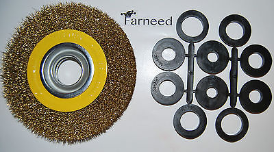 CEPILLO PARA MOLER BANCO DE MOLIENDA DIAM. 175 x 20