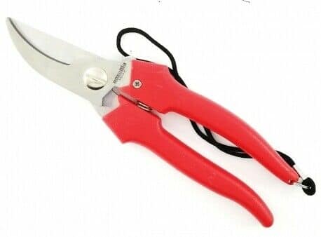 TIJERAS TIJERAS GARDEN HARVEST HOJA CURVA CON UVAS RECOLECTORES DE FRUTAS 310 DFL