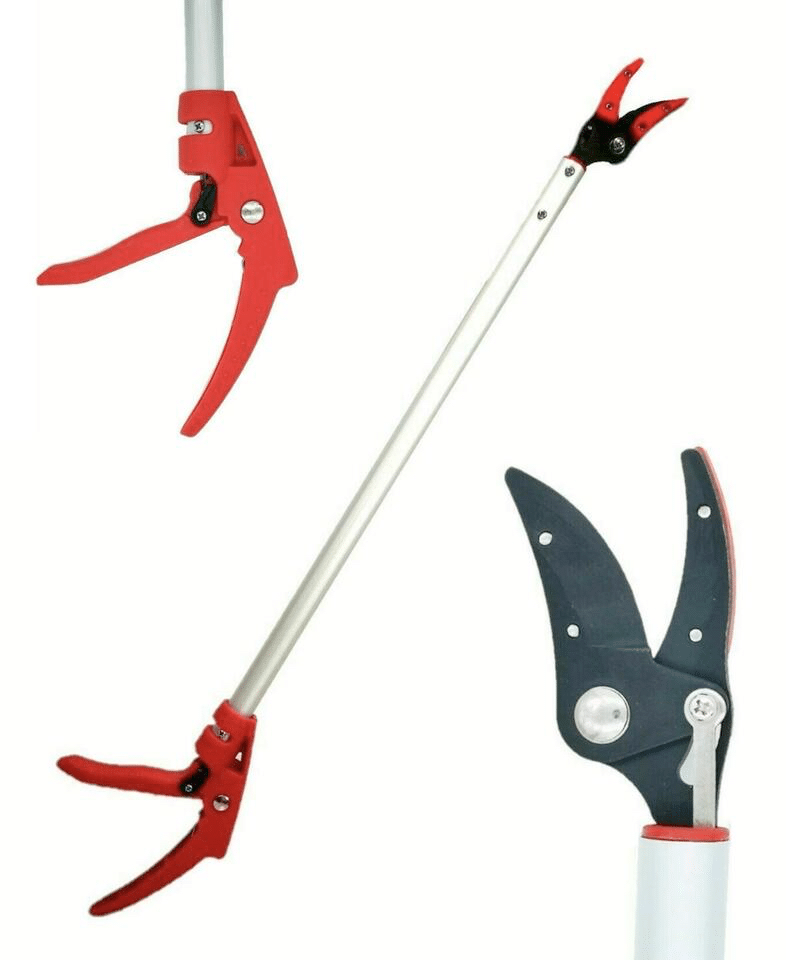 TIJERAS DE PODAR PARA RECOLECTORES DE ESPÁRRAGOS 1