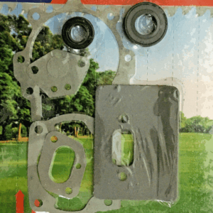 KIT DE RETÉN DE ACEITE PARA DESBROZADORA MITSUBISHI 43 52cc VIGOR 231