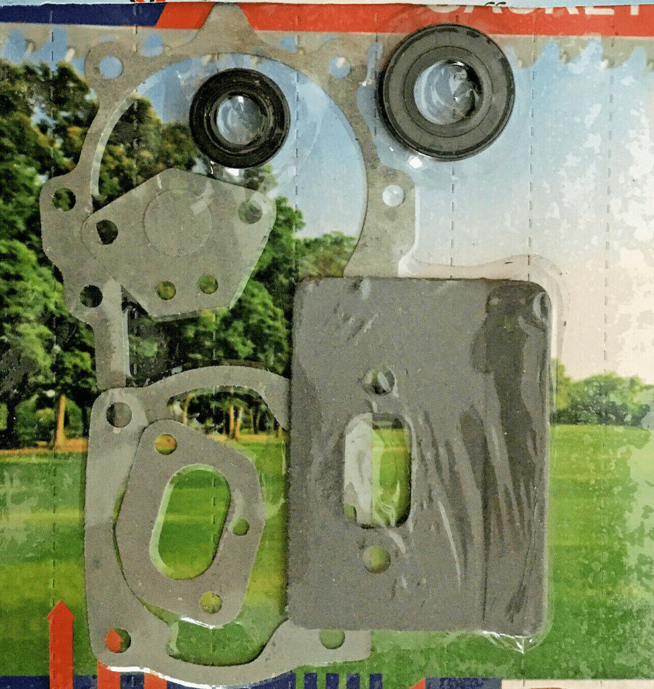 KIT DE RETÉN DE ACEITE PARA DESBROZADORA MITSUBISHI 43 52cc VIGOR 231