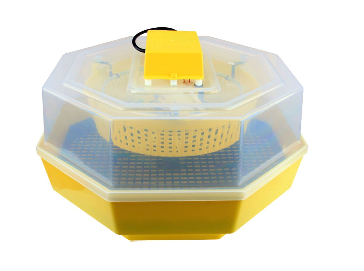 Incubadora 60 huevos gallina codorniz animales 20 w incubadora ajustable avicultura 117ev