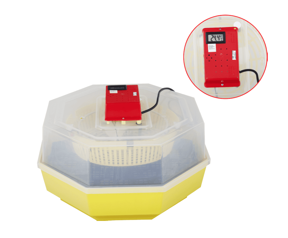 Incubadora 60 huevos gallina codorniz animales 20w incubadora regulable con termómetro termo higrómetro 770ev